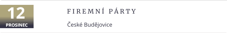 F i r e m n í   p á r t y České Budějovice 12 PROSINEC