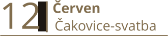 12   Červen  Čakovice-svatba