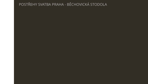 POSTŘEHY SVATBA PRAHA - BĚCHOVICKÁ STODOLA