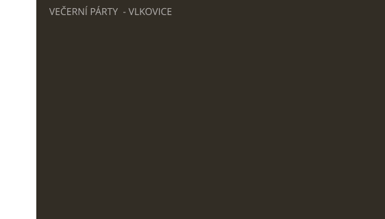 VEČERNÍ PÁRTY  - VLKOVICE