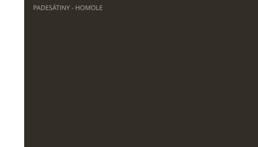 PADESÁTINY - HOMOLE