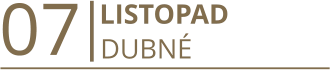 07       LISTOPAD DUBNÉ